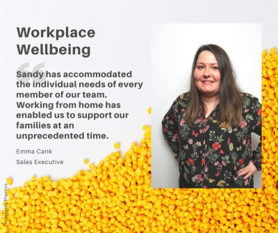 Workplace Wellbeing - An employee perspective